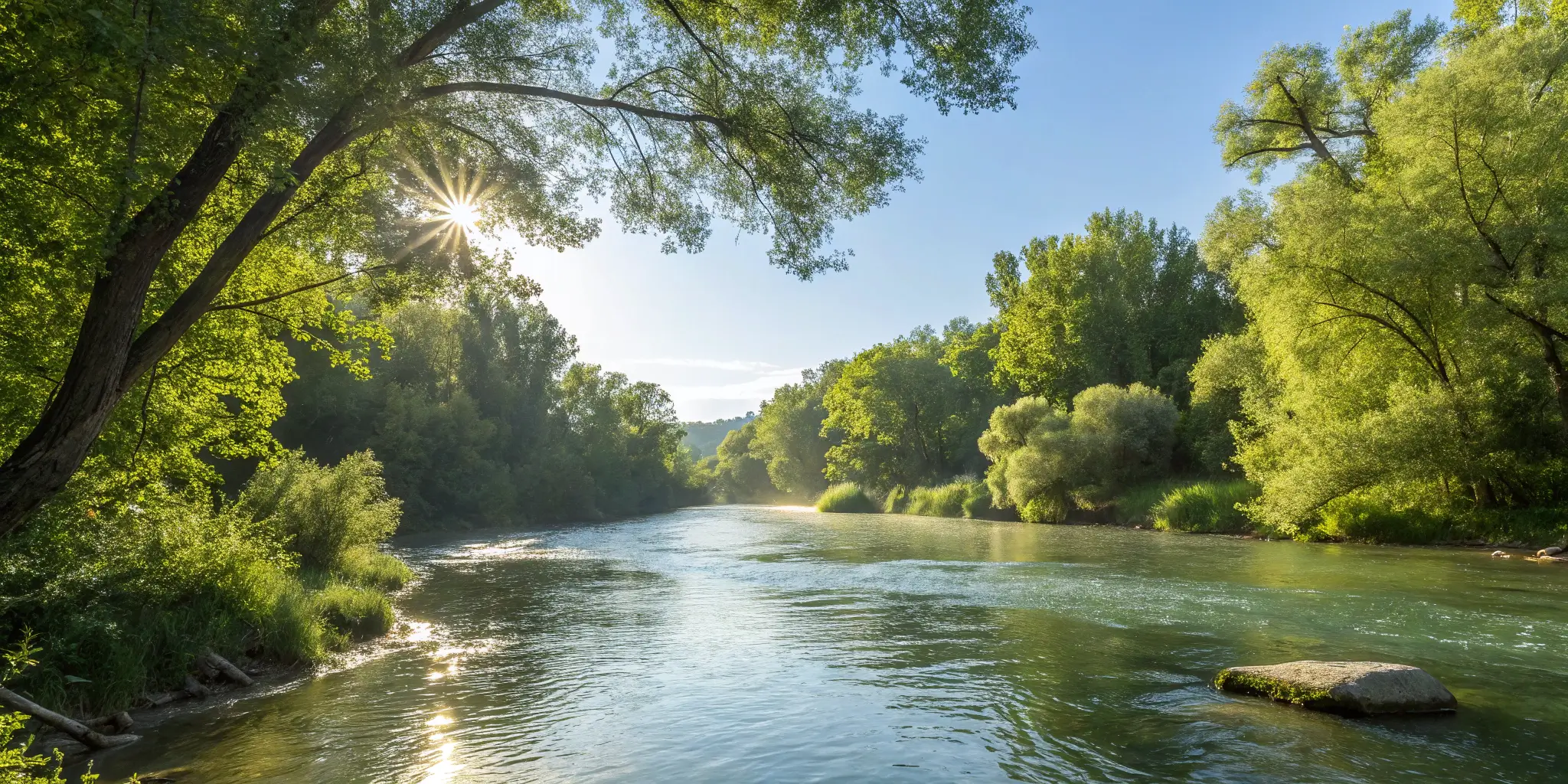 How UVB Light Therapy Calms Your Immune System